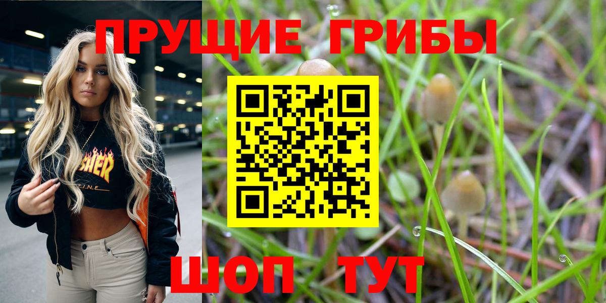 Галлюциногенные грибы Cubensis Вичуга