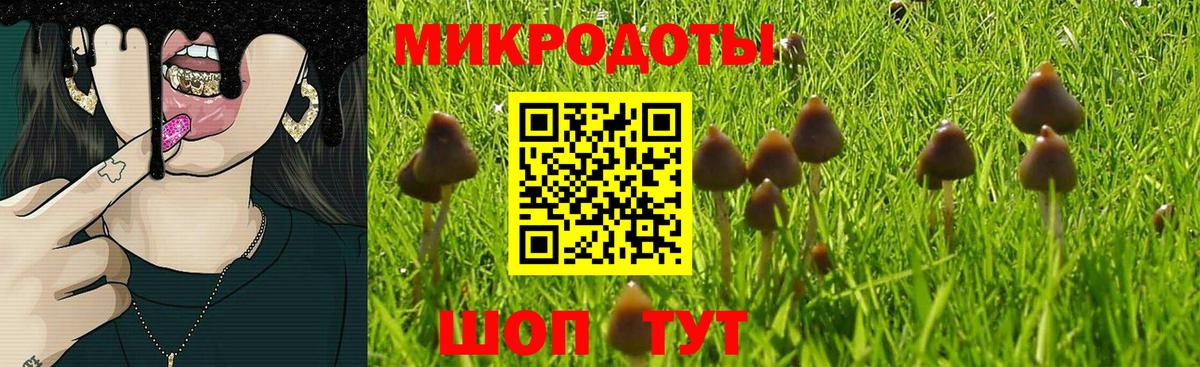 Меф МЯУ МЯУ   Гашиш  Кокаин  Вичуга  Каннабис  Вход с VPN 