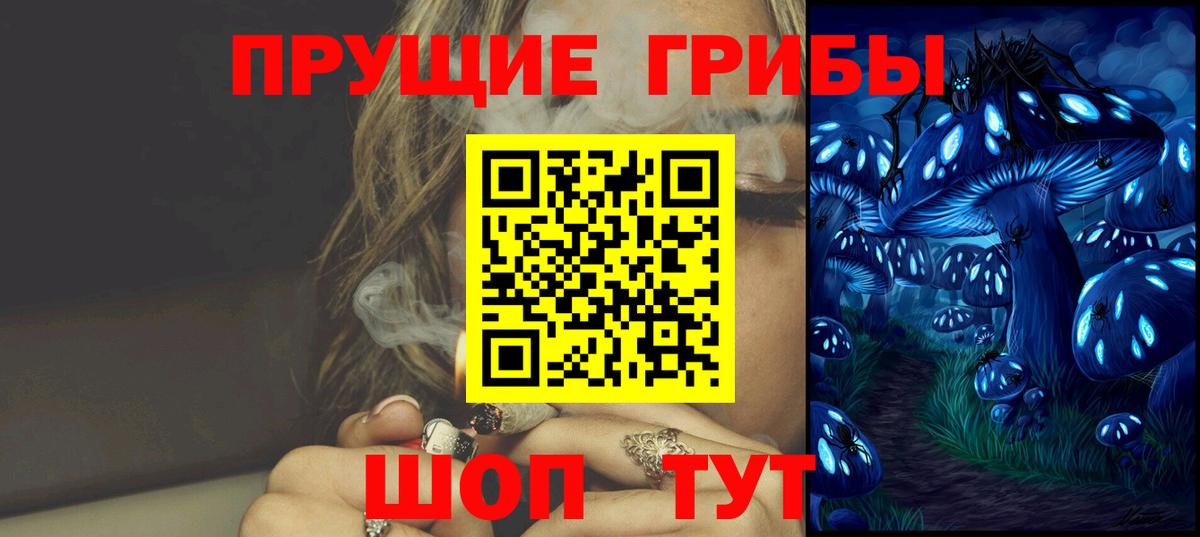 Вичуга  Галлюциногенные грибы Psilocybe  Вход с VPN 